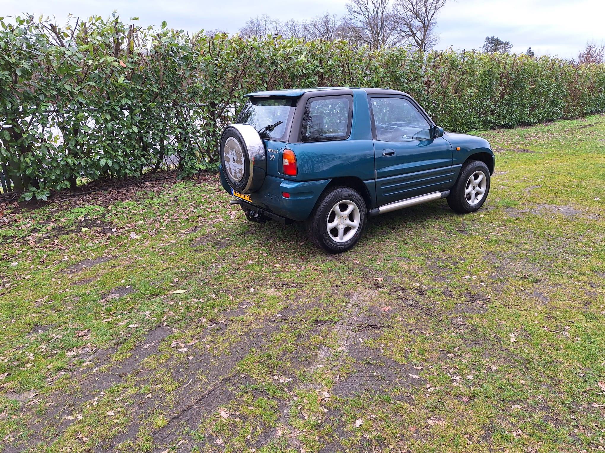 image of the lot
