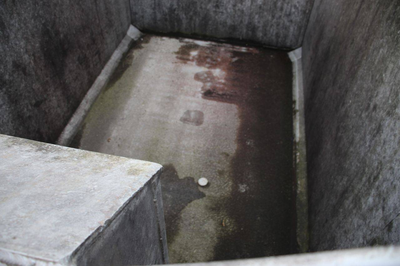 image of the lot
