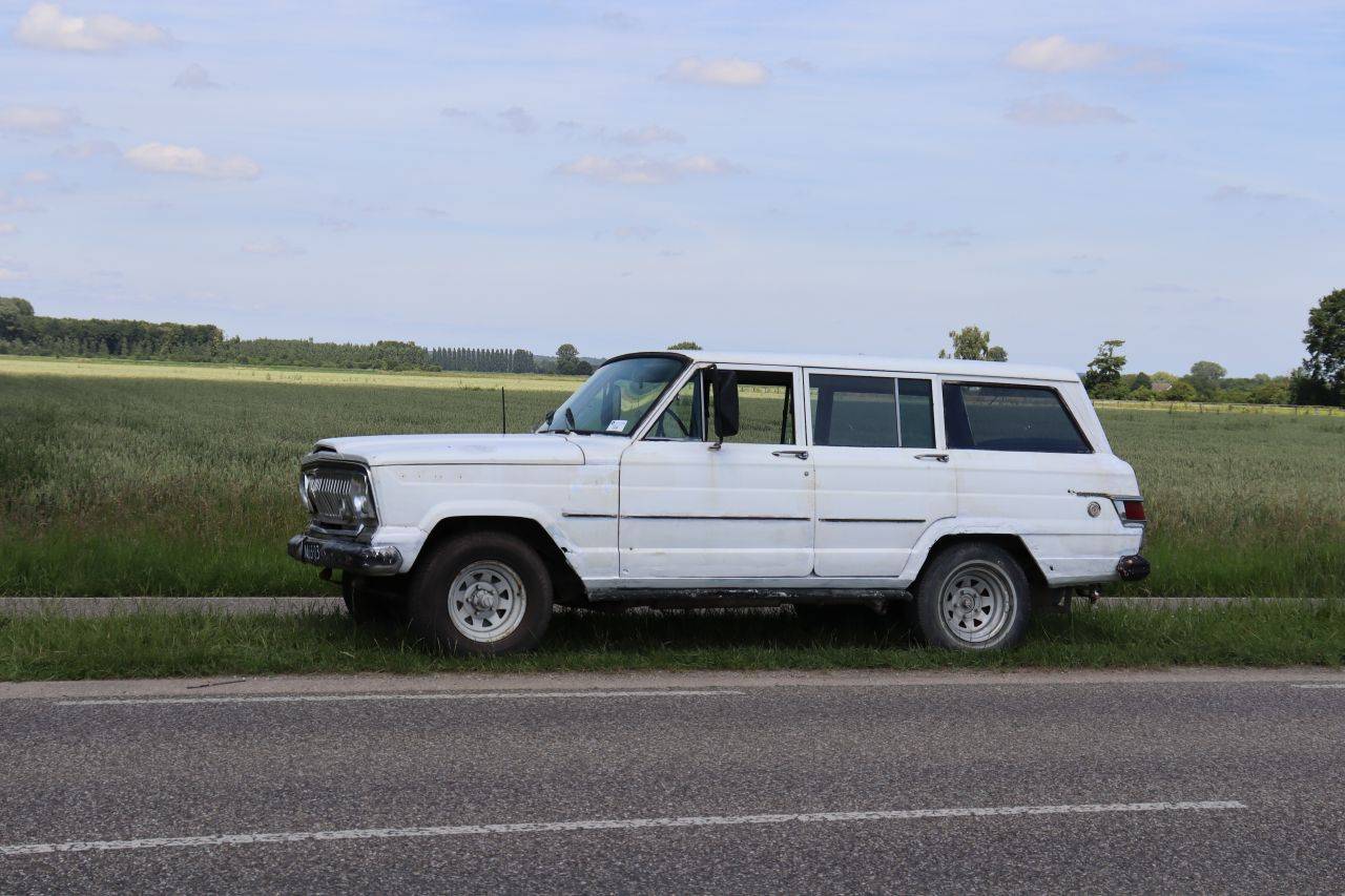 Jeep Wagoneer Petrol 1969 (Margin)