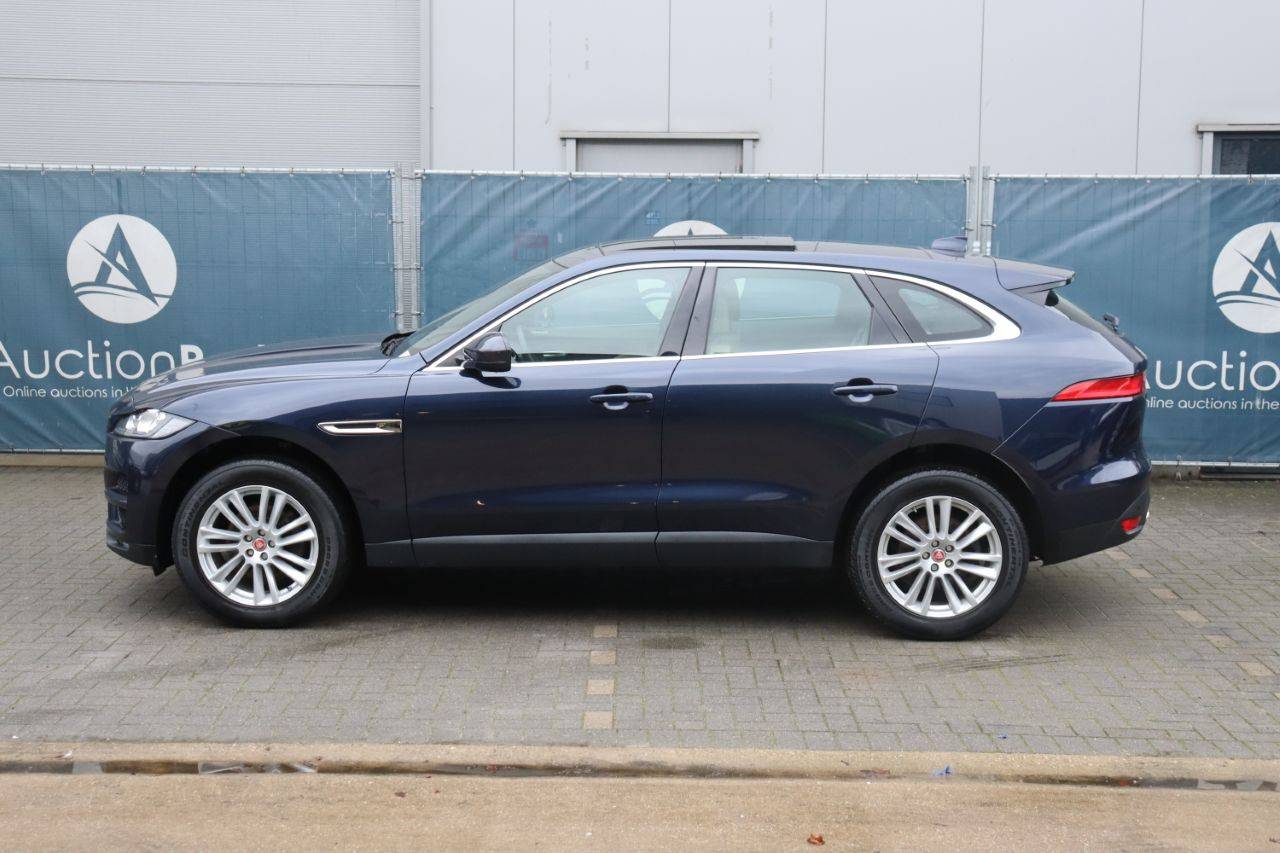 image of the lot