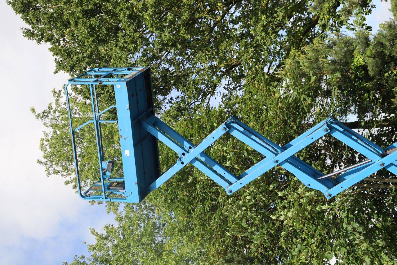 image of the lot