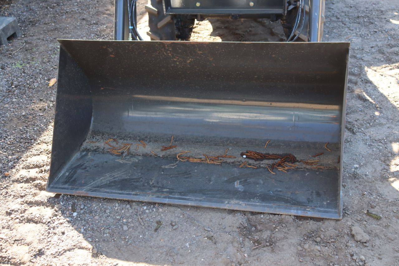 image of the lot