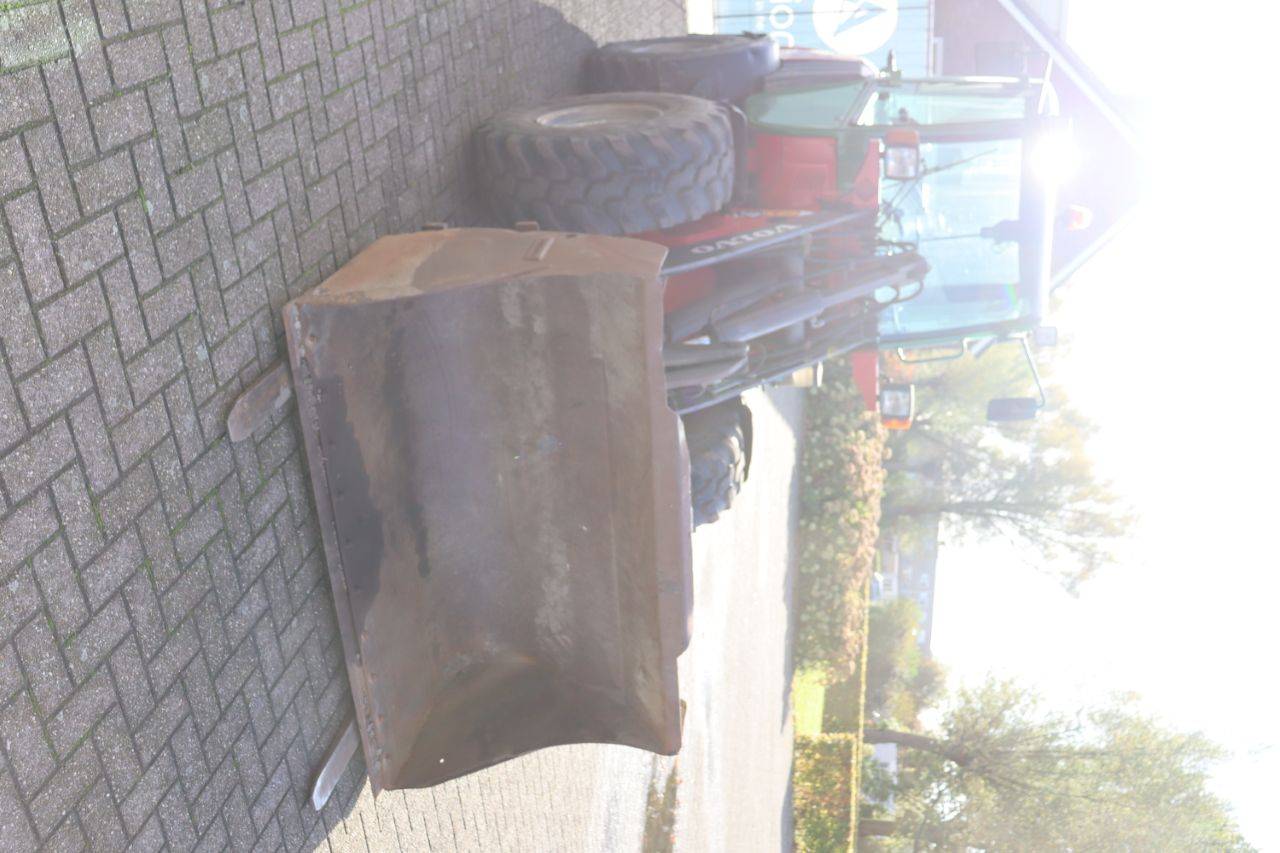image of the lot