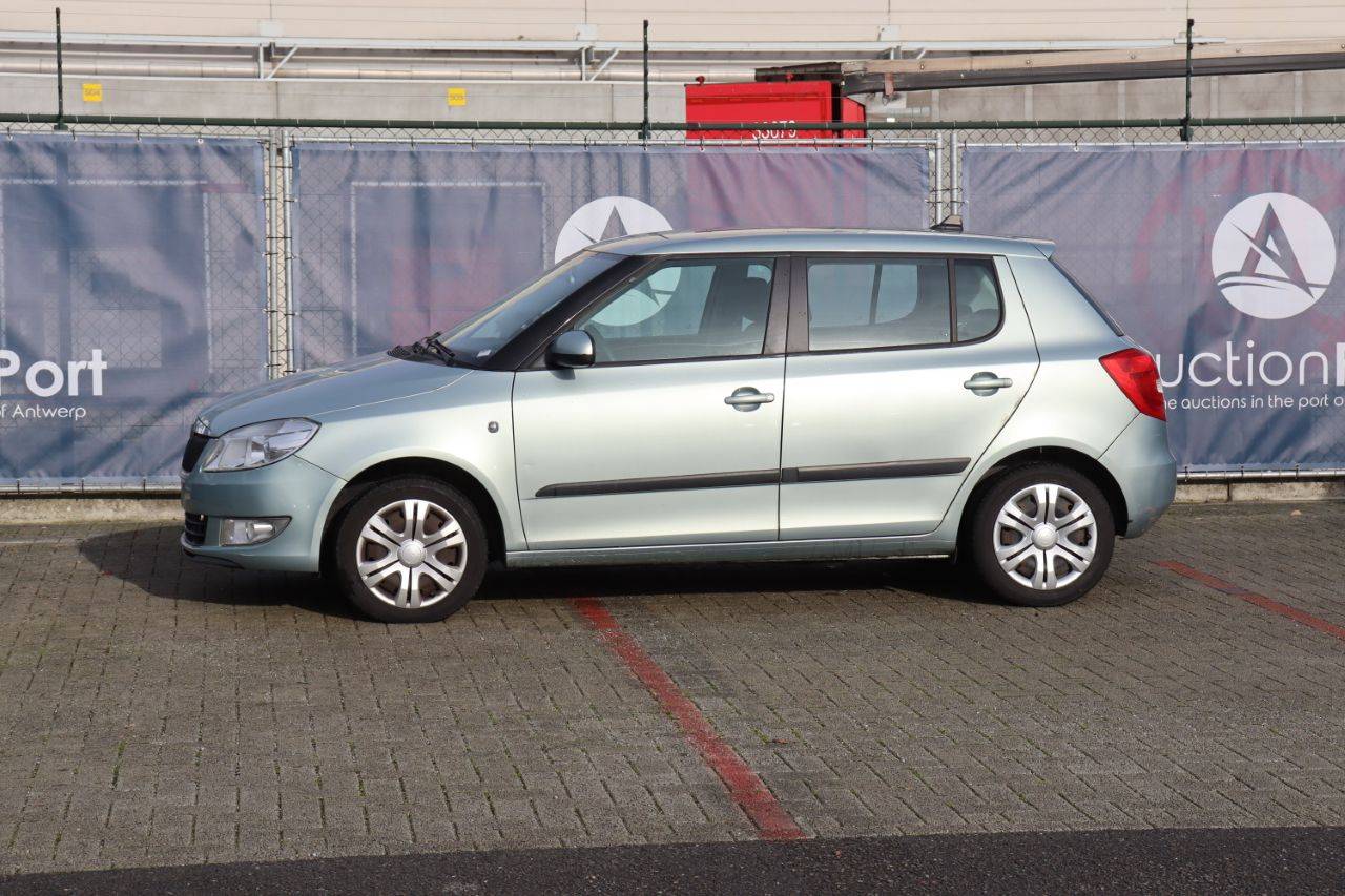 Passenger car Skoda Fabia TDI Diesel 75hp 2011 (Margin)