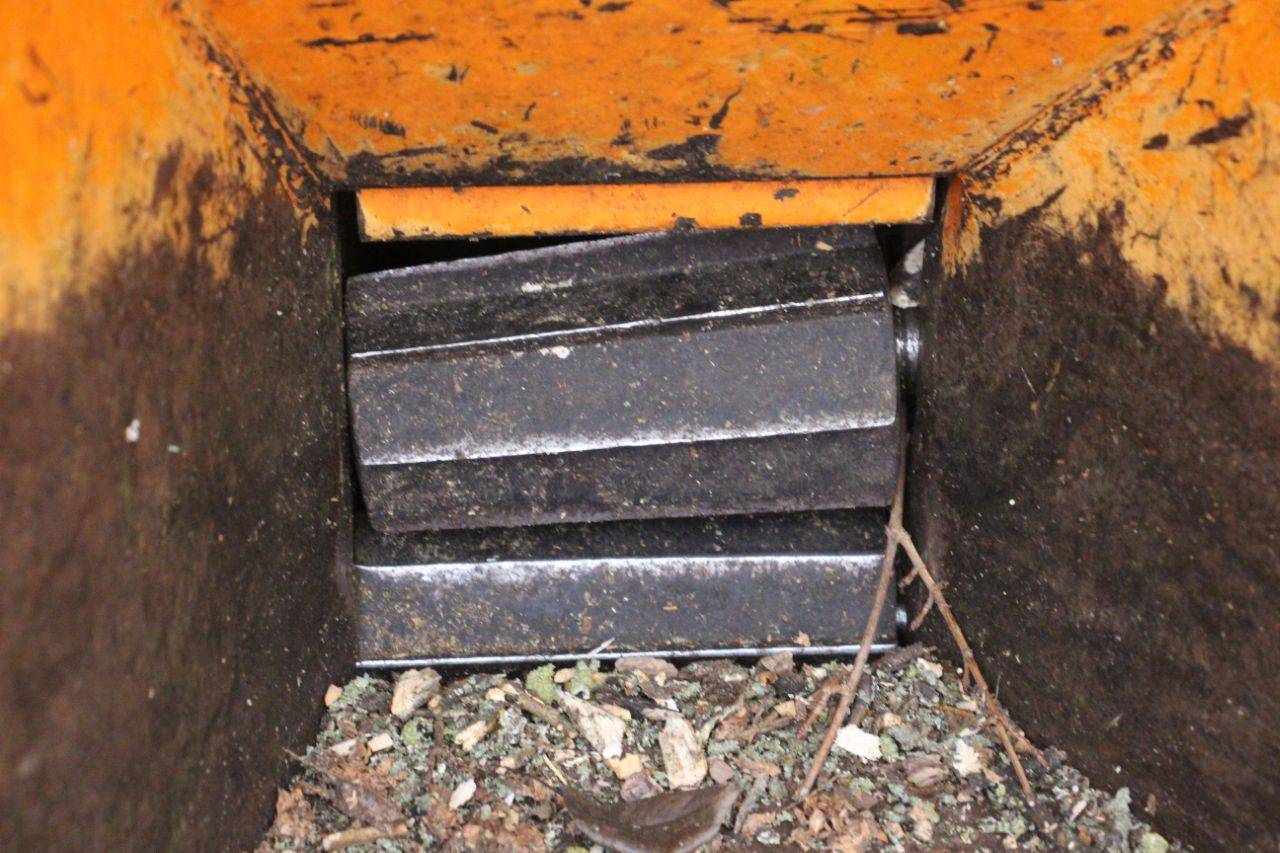 image of the lot