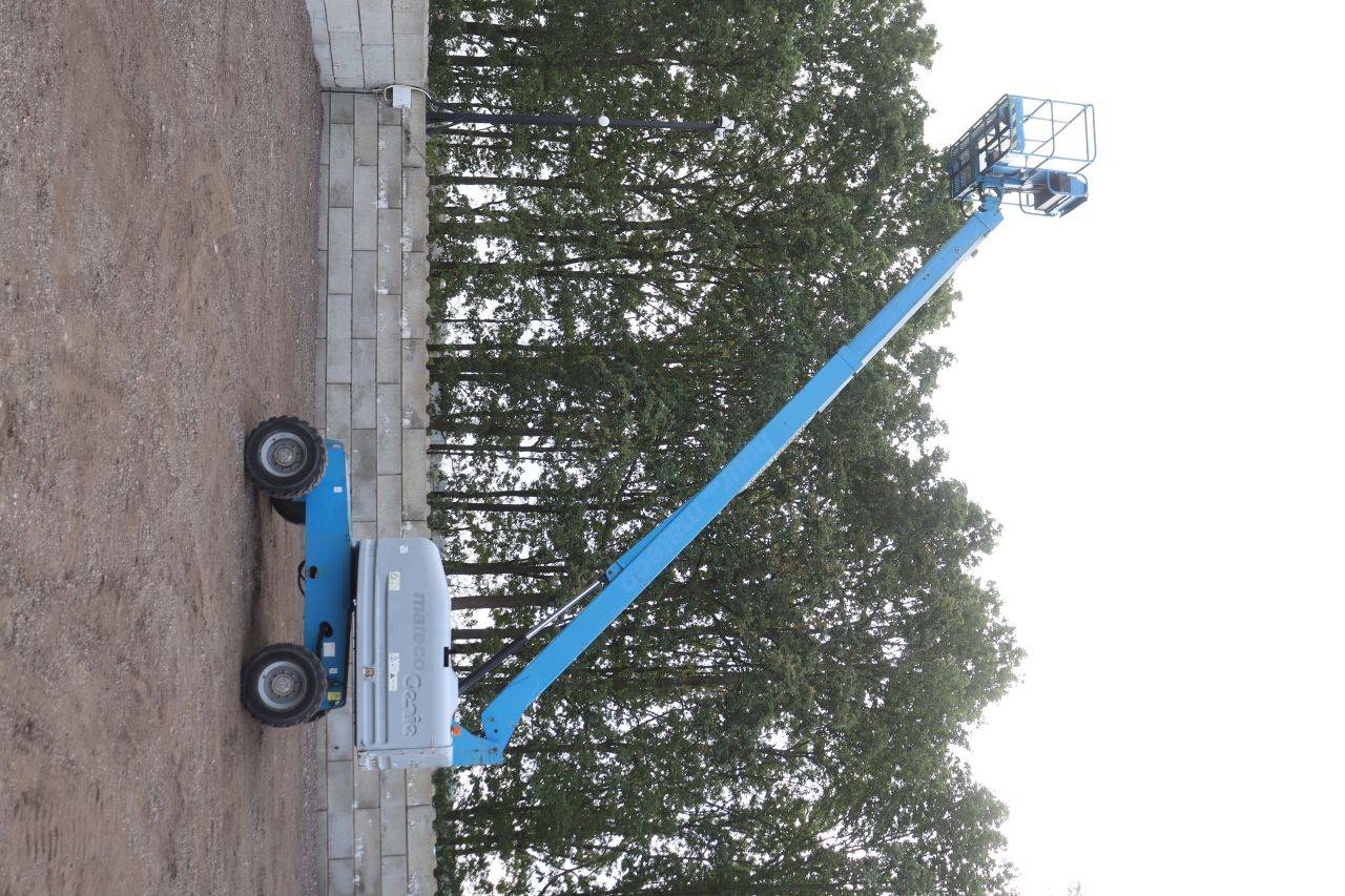image of the lot