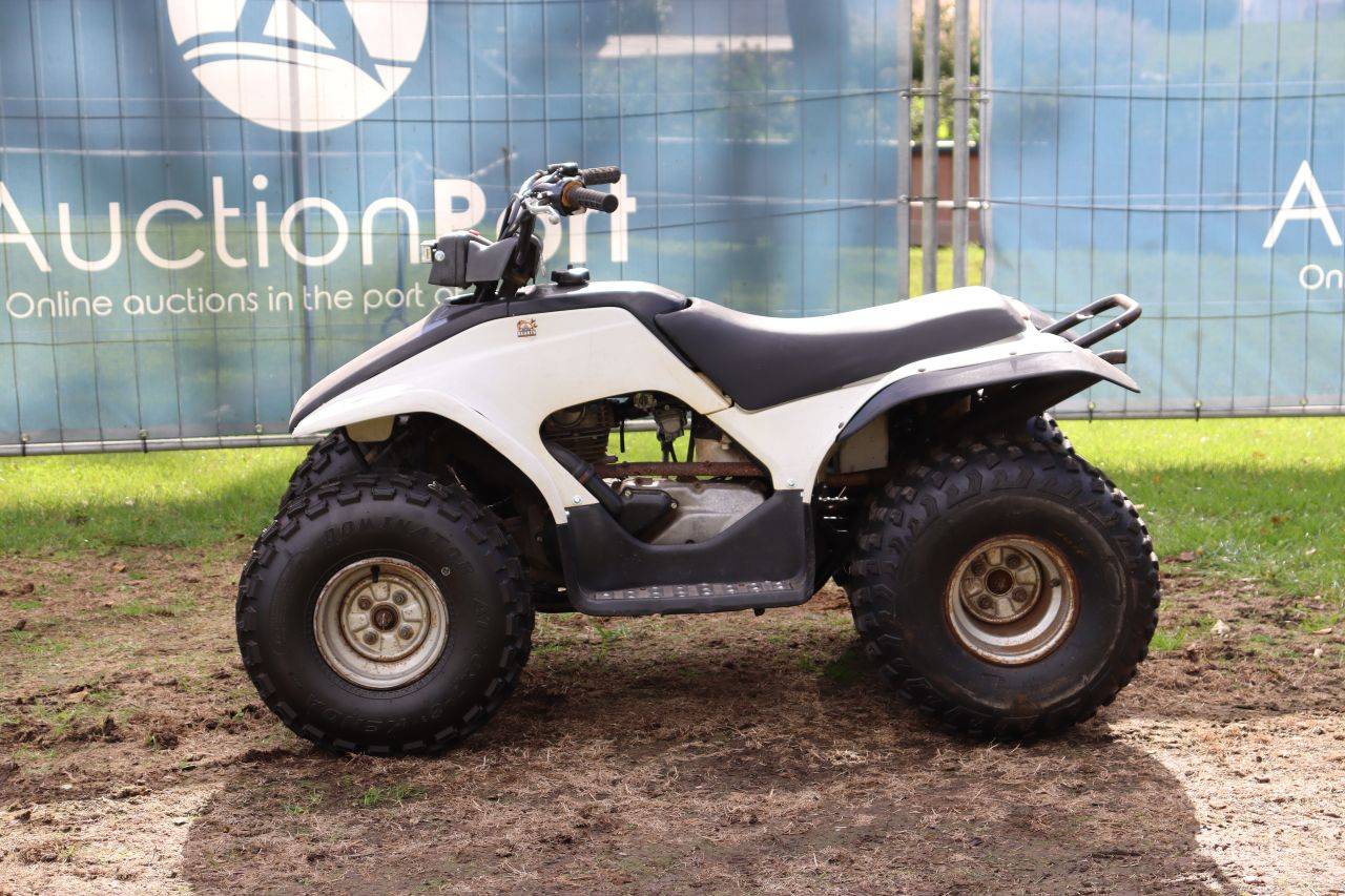 Quad Benzin