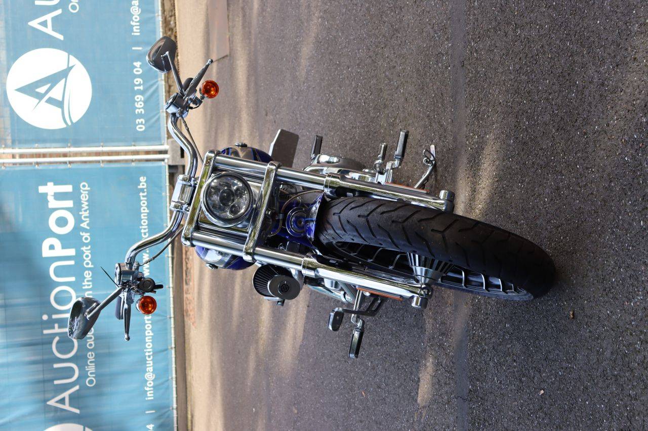 image of the lot