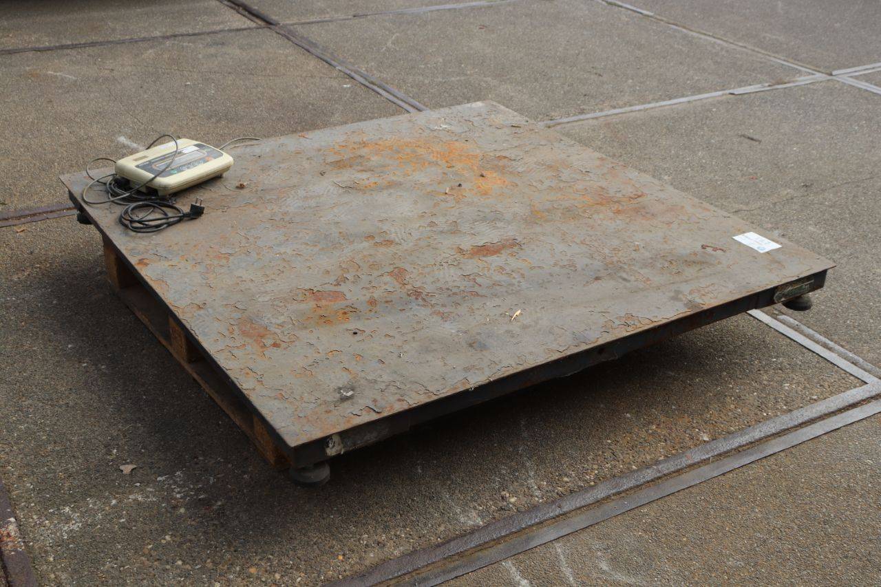 image of the lot