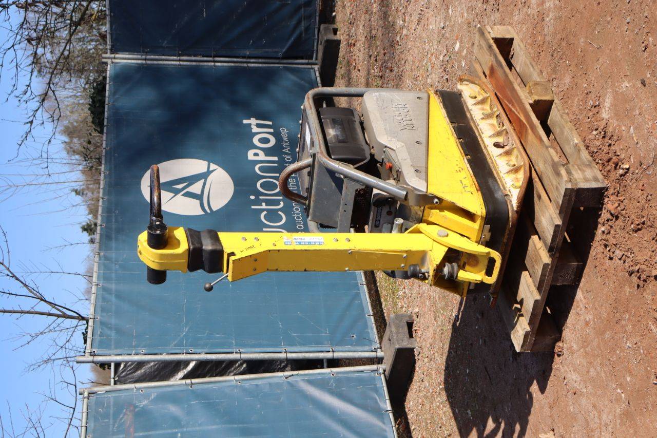 image of the lot