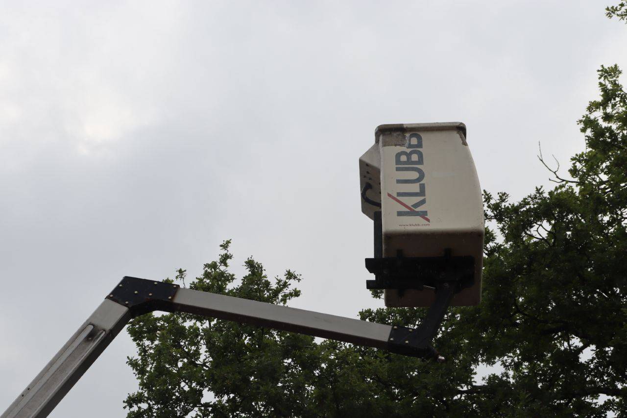 image of the lot