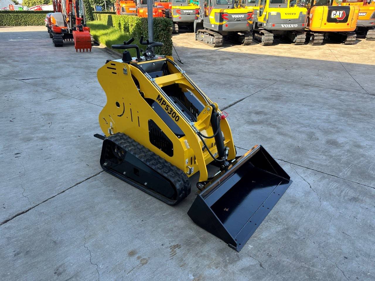 image of the lot