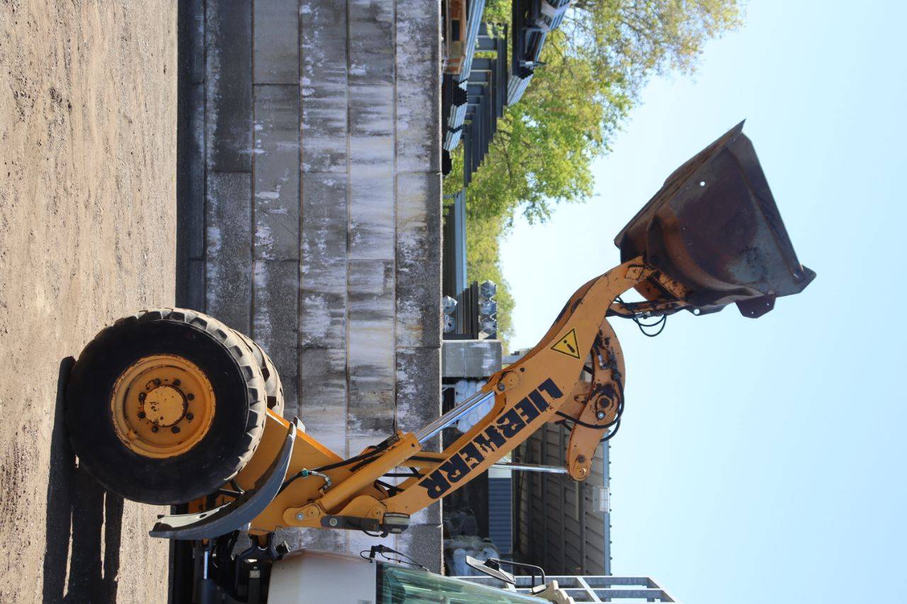 image of the lot
