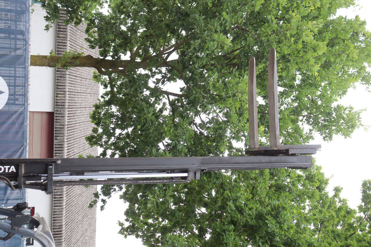 image of the lot