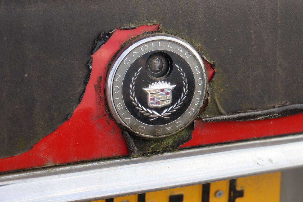 image of the lot