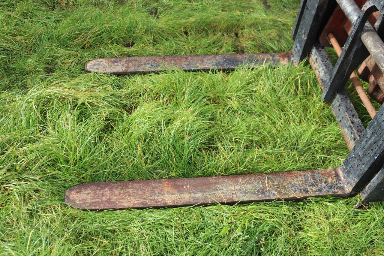 image of the lot