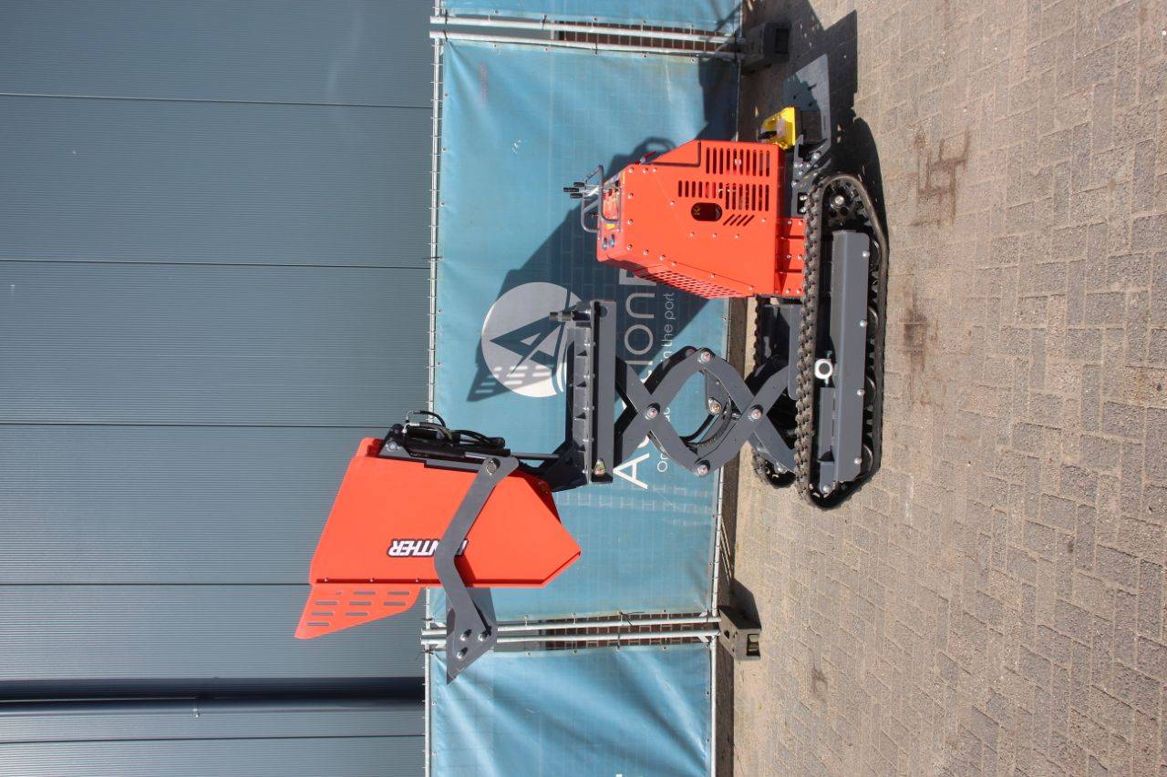 image of the lot