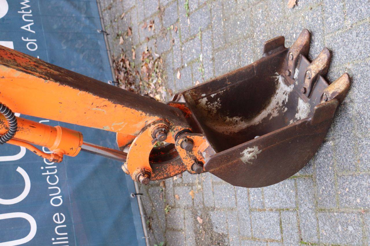 image of the lot