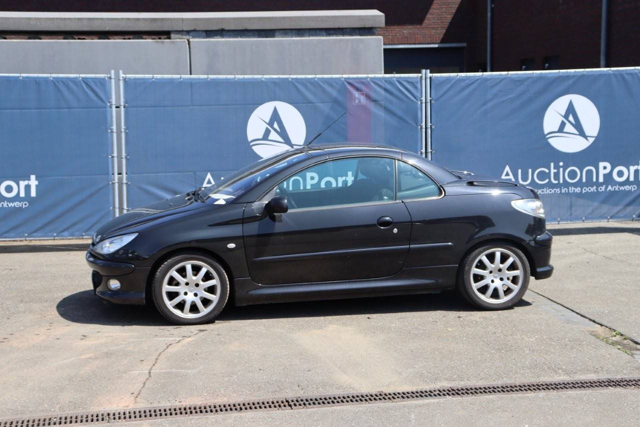 Peugeot 206 Benzine 2003 (Marge)