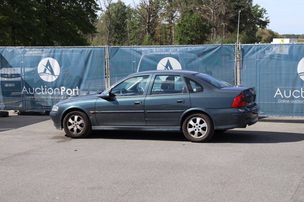 image of the lot