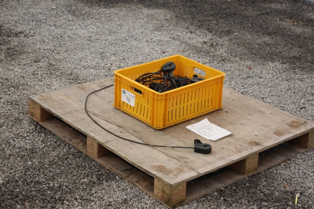 image of the lot