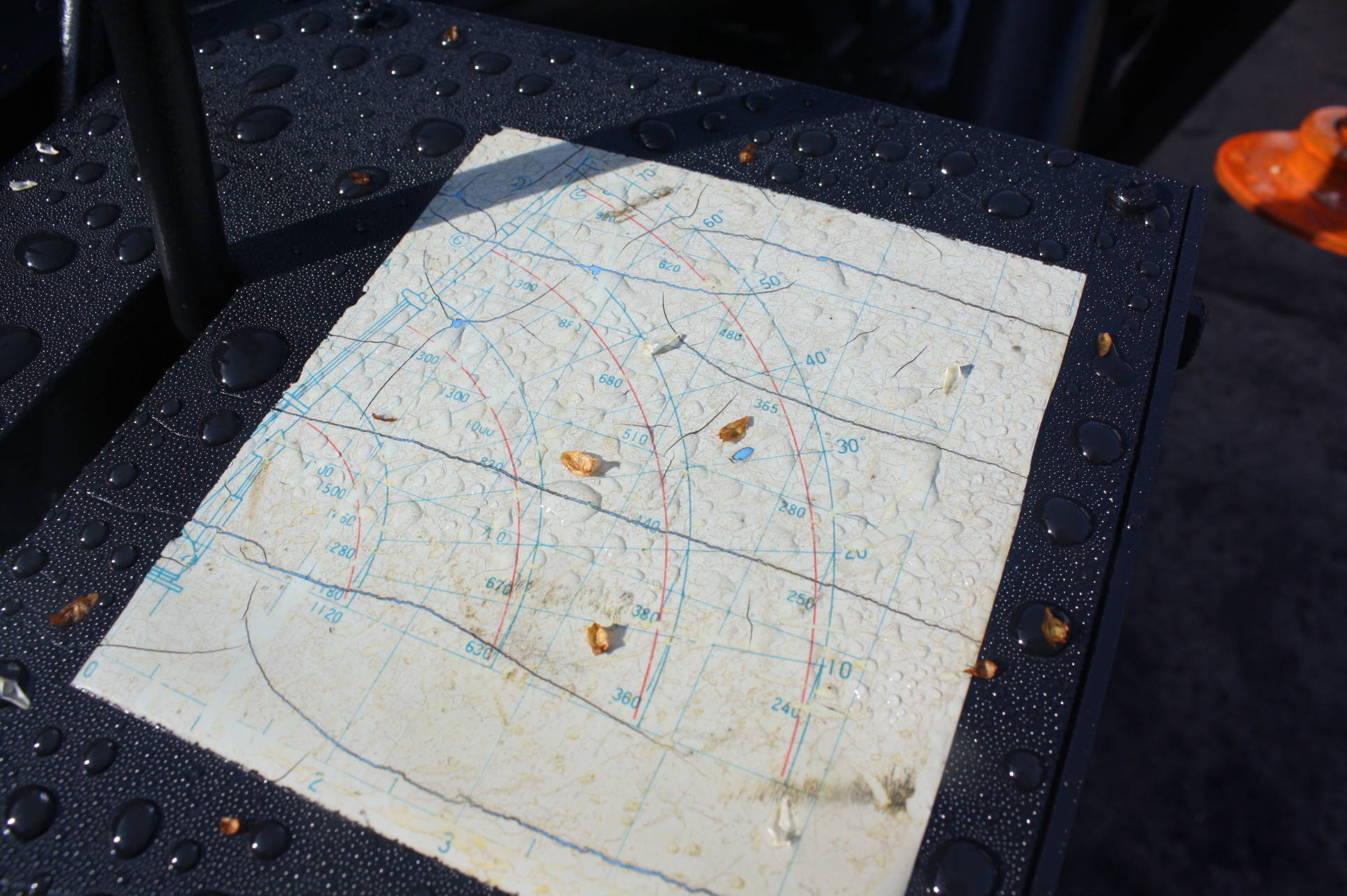 image of the lot