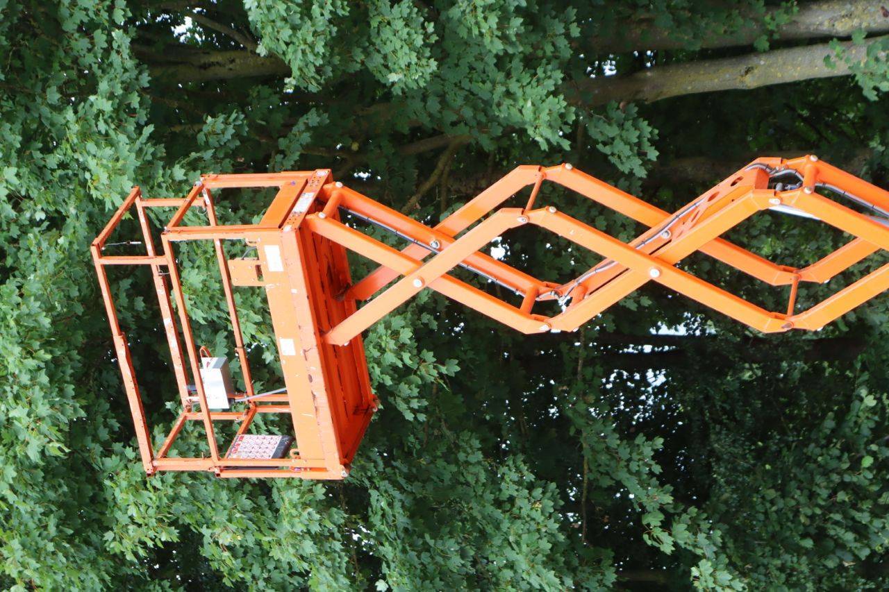 image of the lot