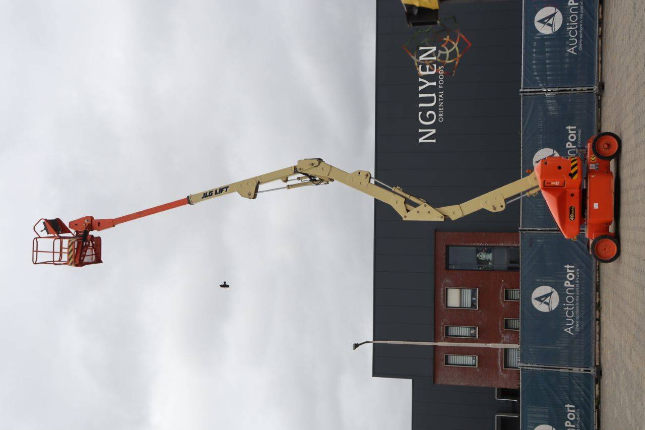 image of the lot