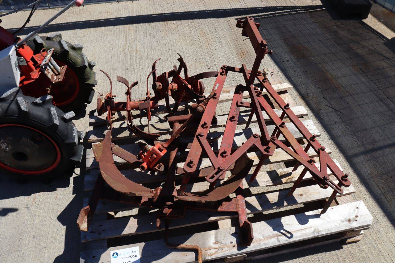 image of the lot