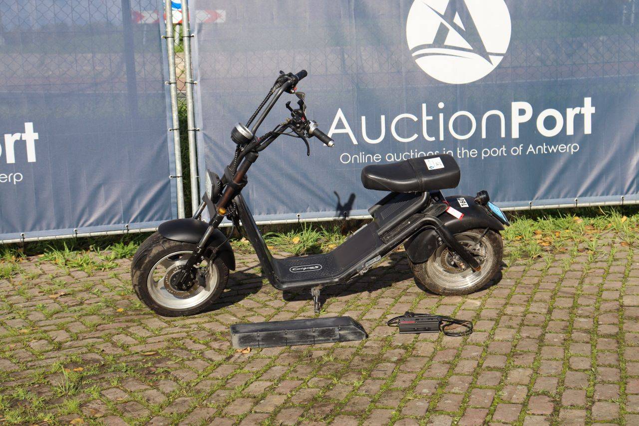 Trottinette électrique Eznen Caigiees 2018