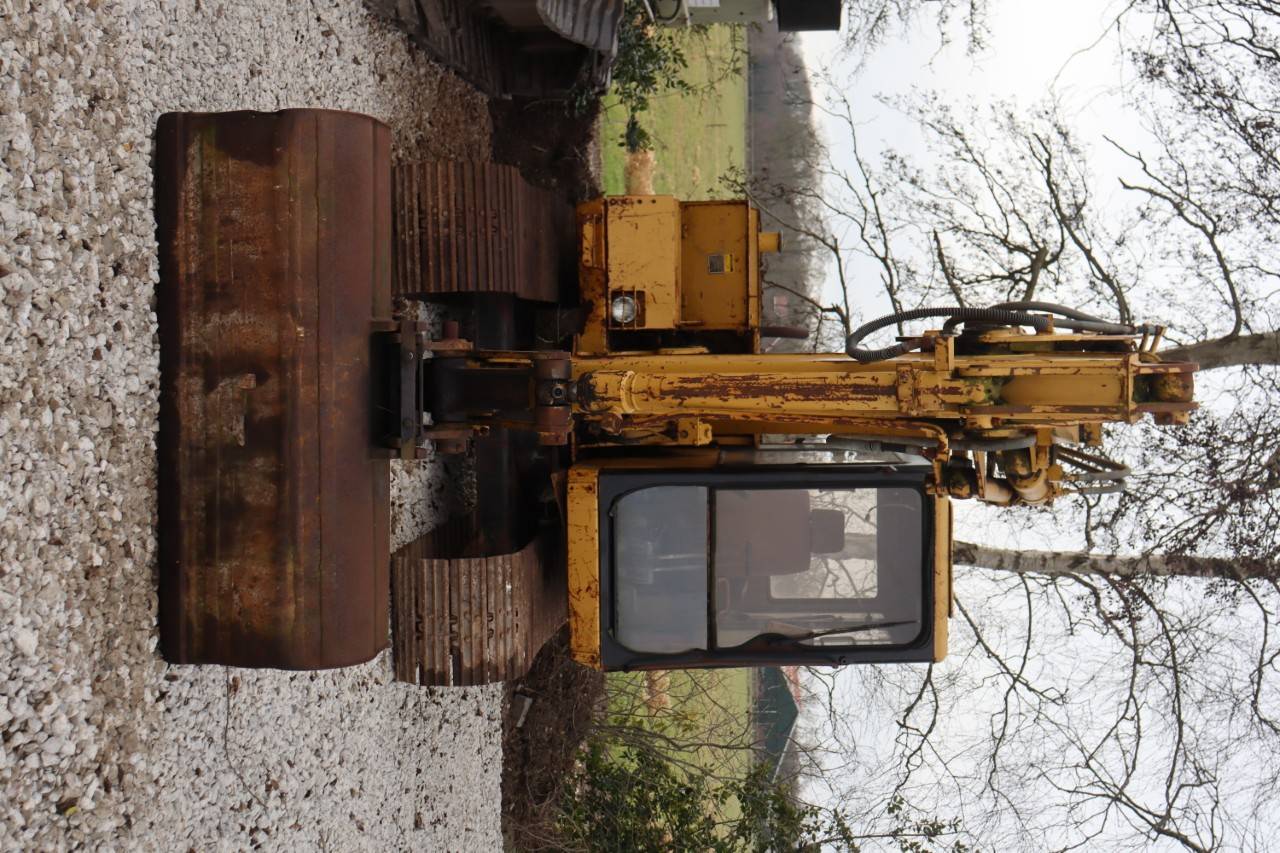 image of the lot