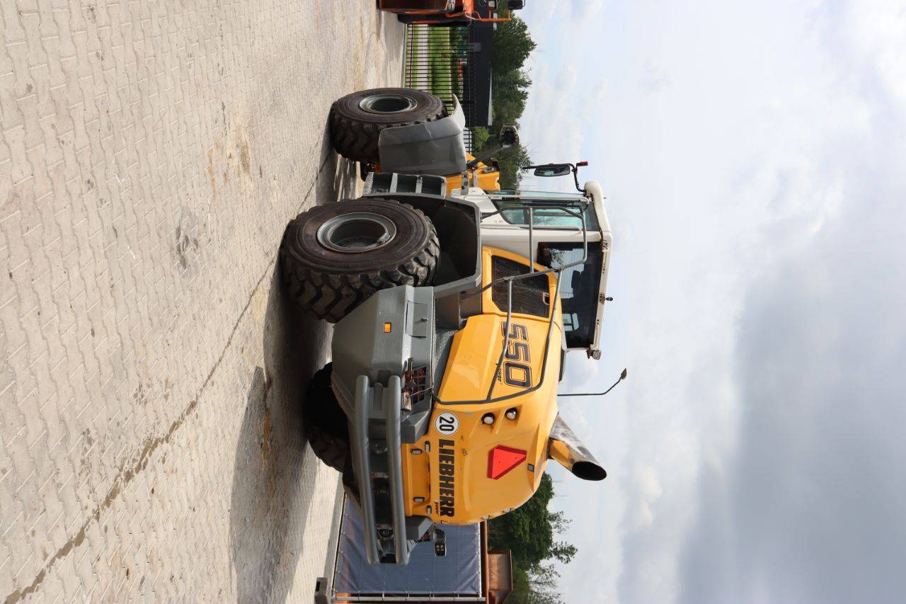 image of the lot