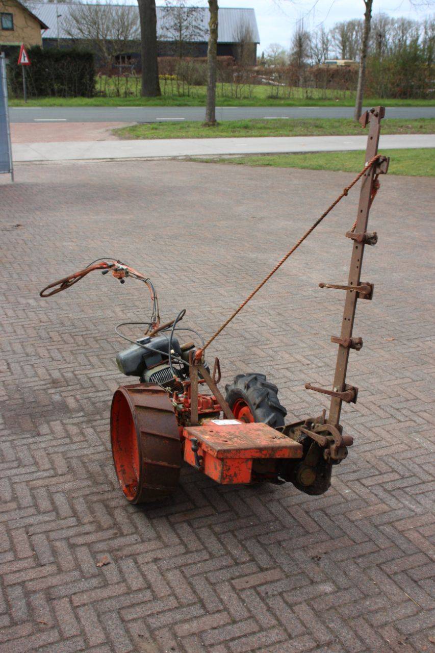 image of the lot