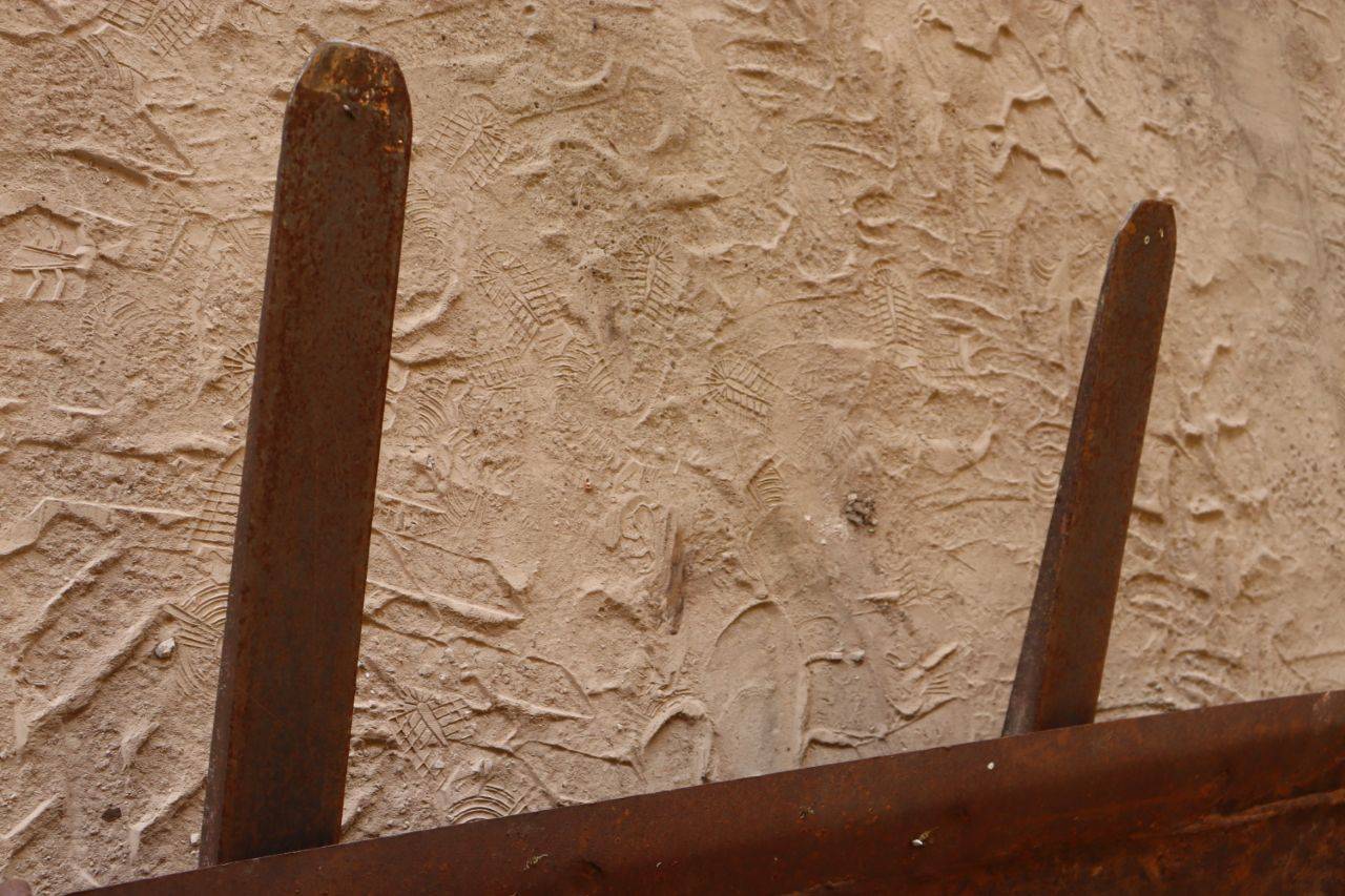 image of the lot