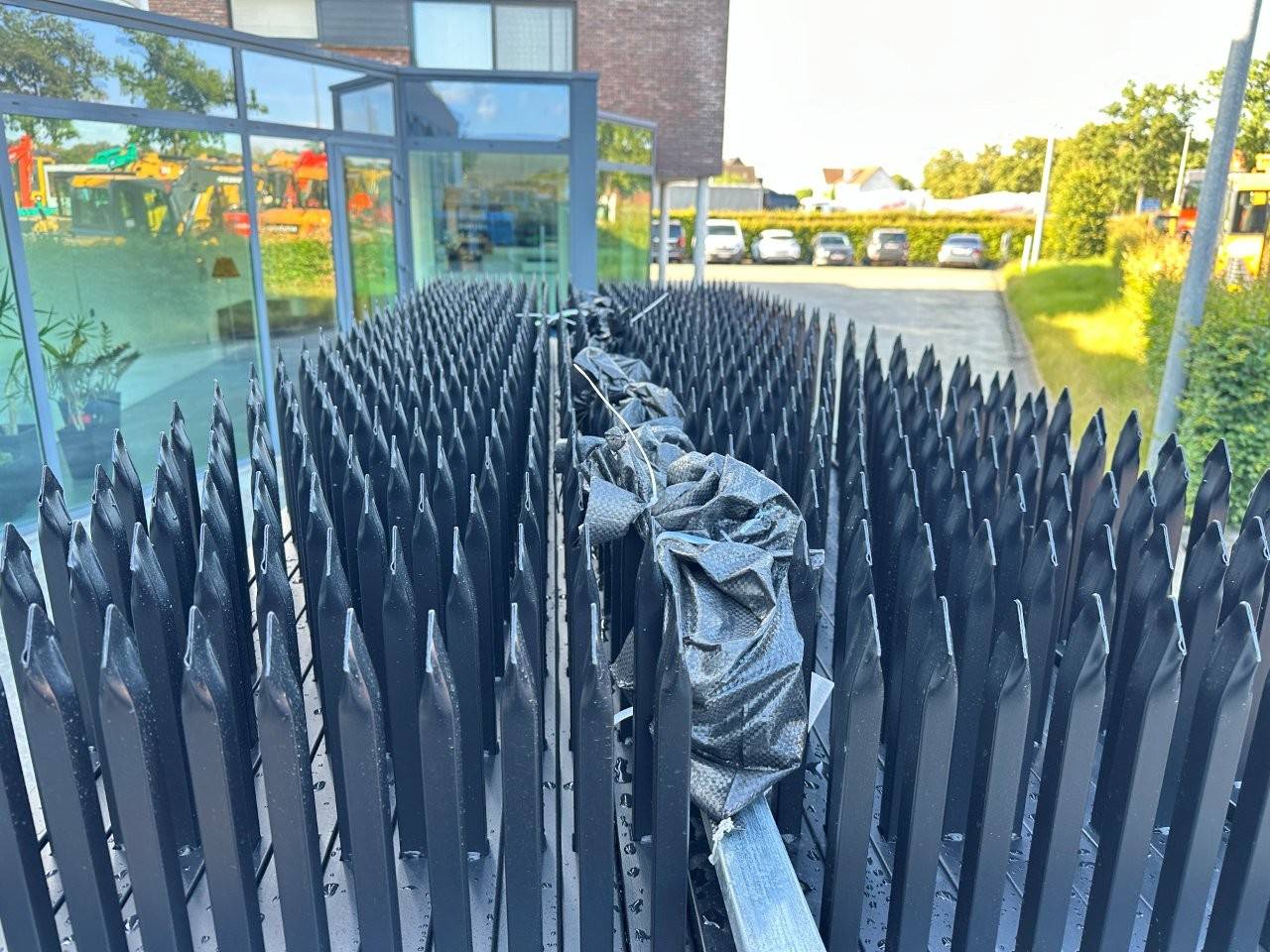 image of the lot