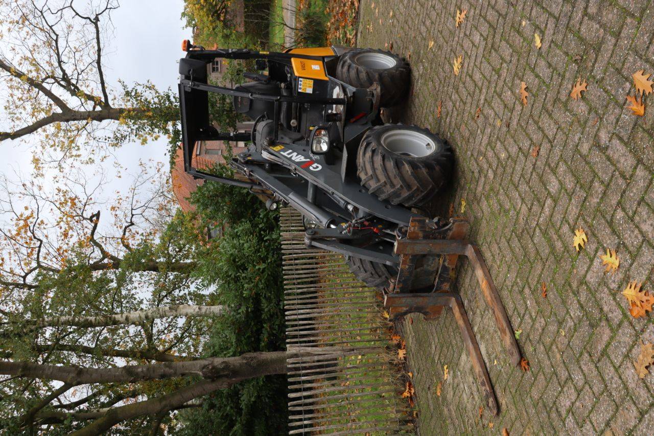 image of the lot