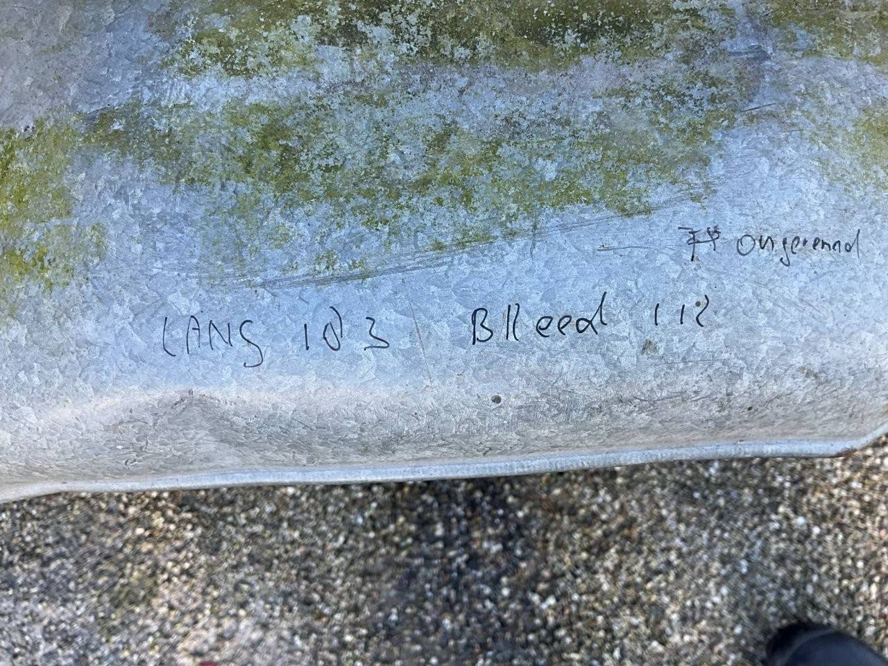 image of the lot
