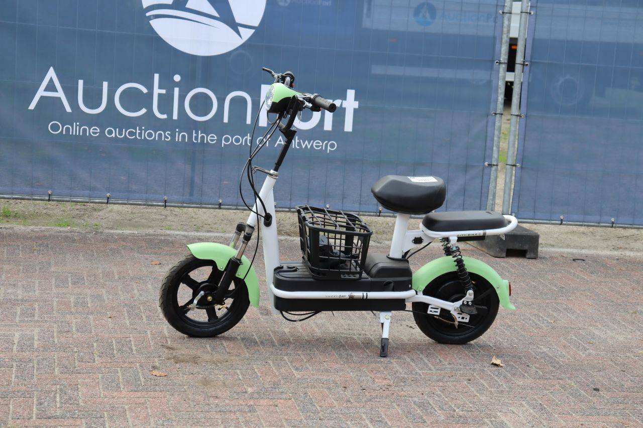 Electric Scooter New