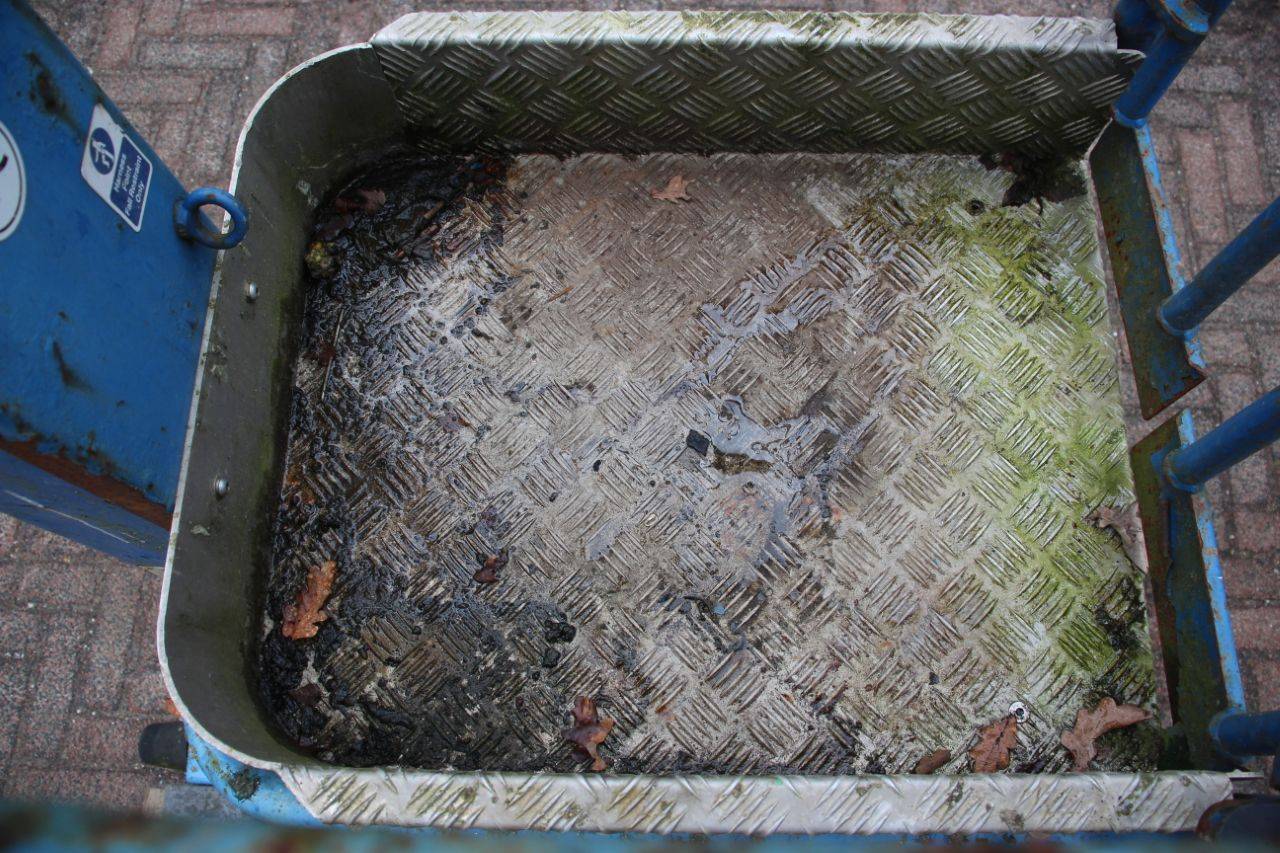 image of the lot
