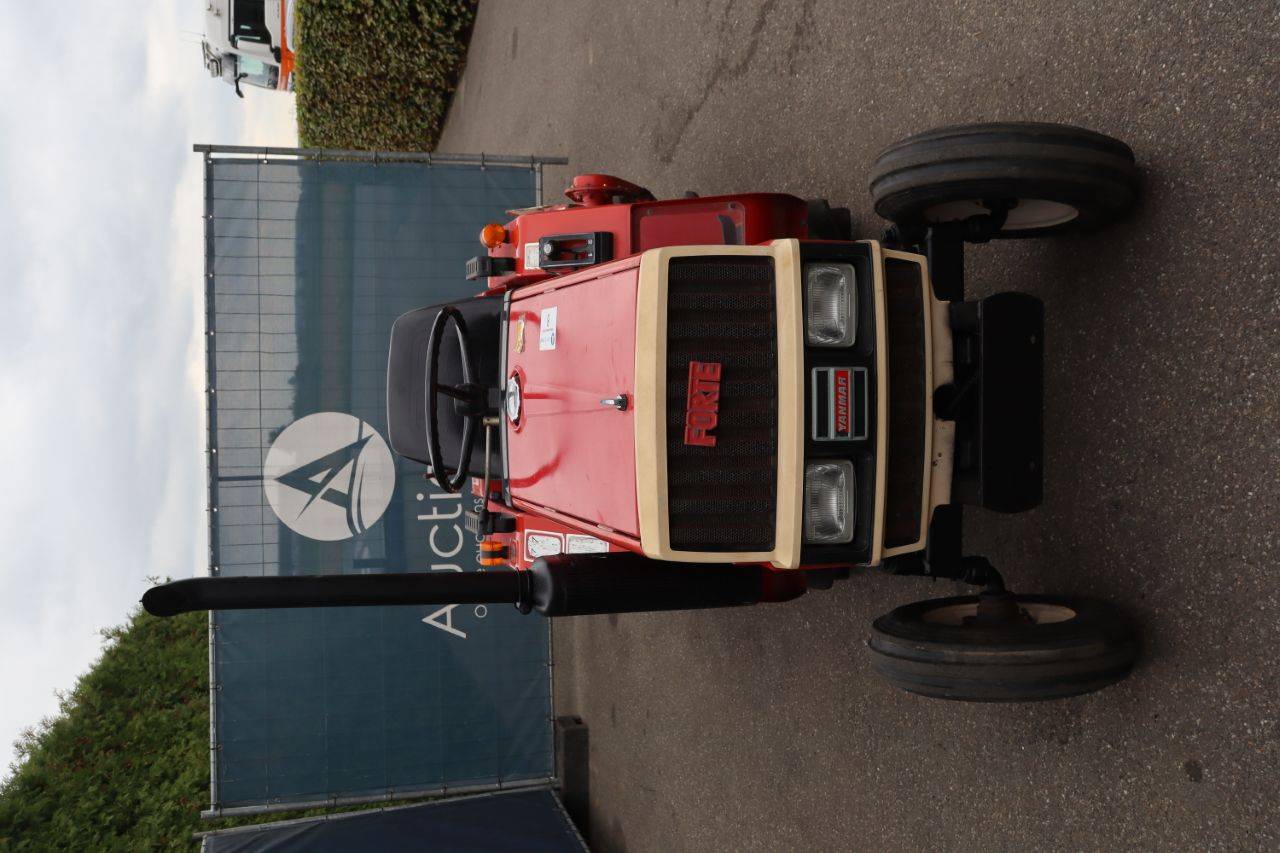 image of the lot