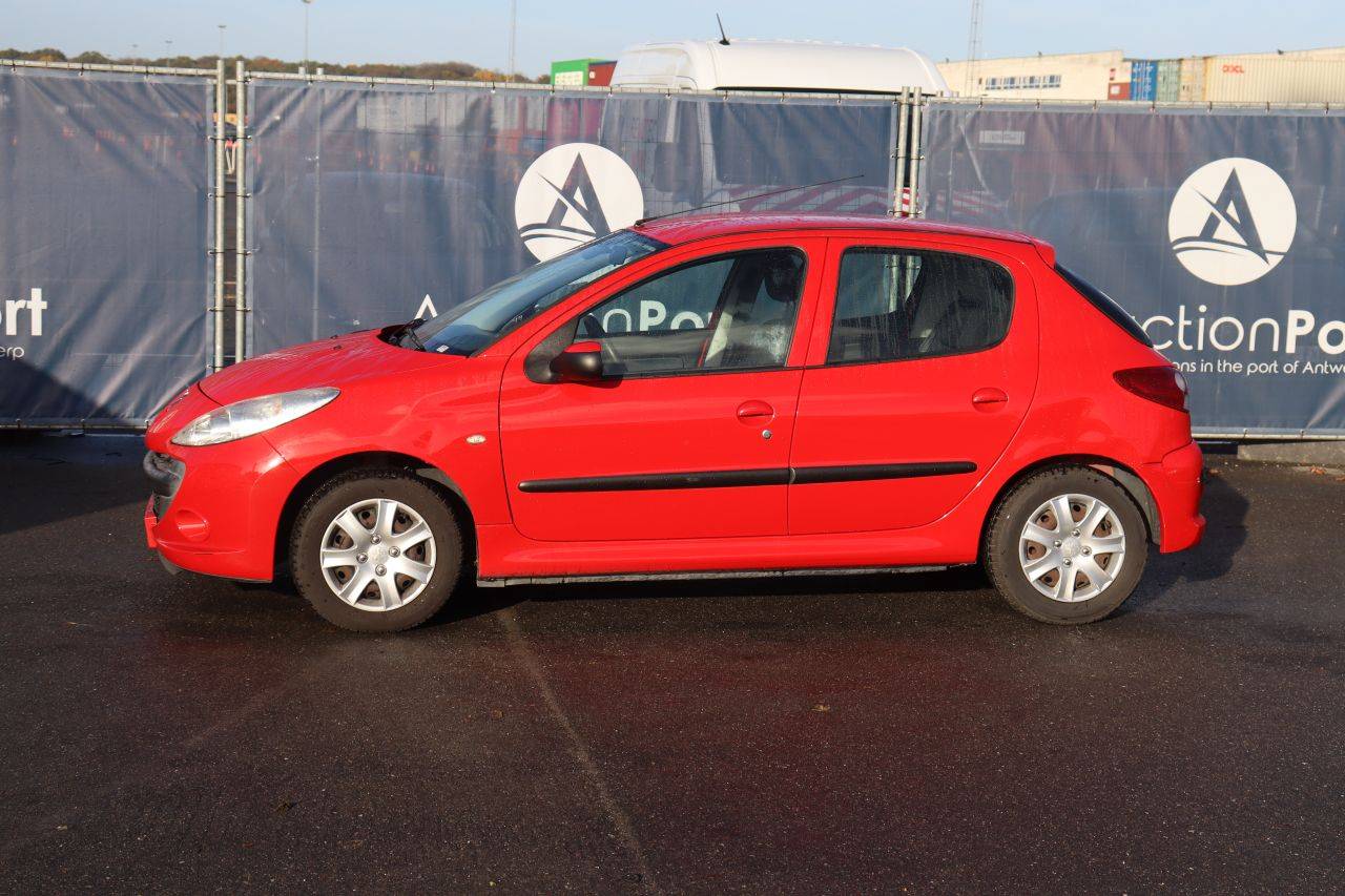 Passenger car Peugeot 206+ Petrol 60hp 2009 (Margin)