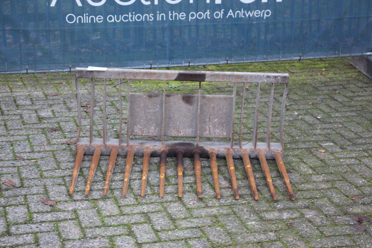 image of the lot