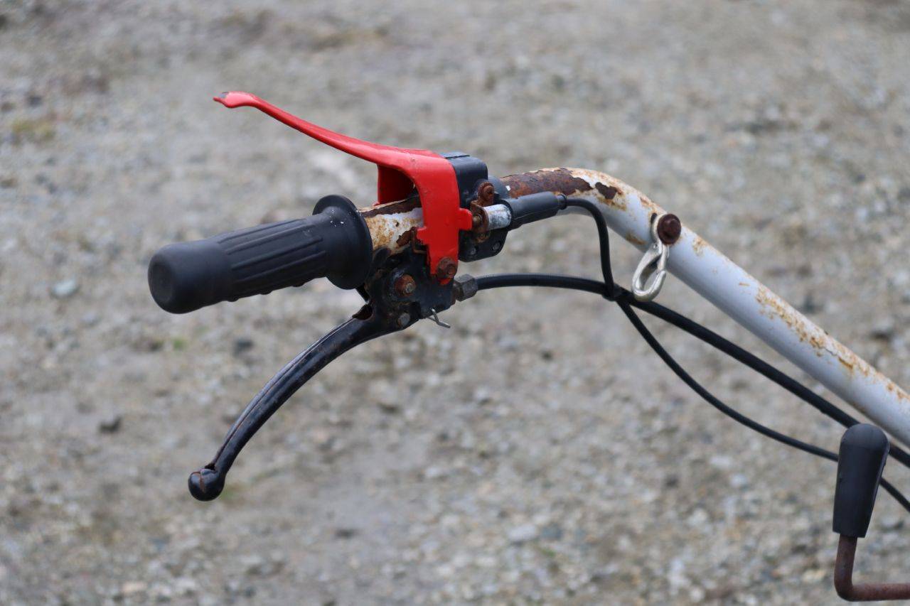 image of the lot