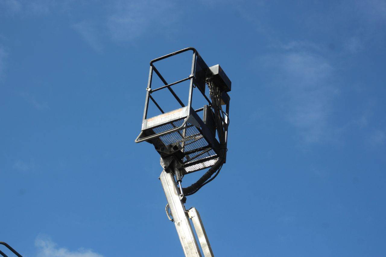 image of the lot