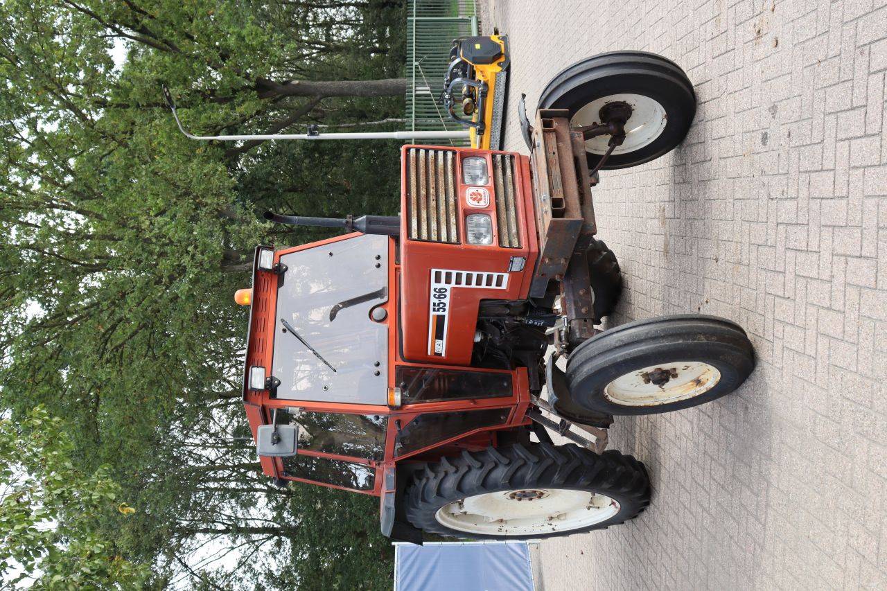 image of the lot