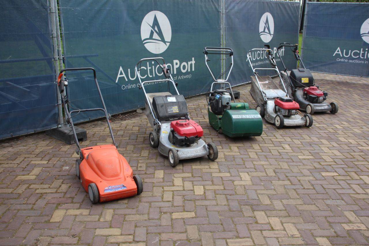 image of the lot