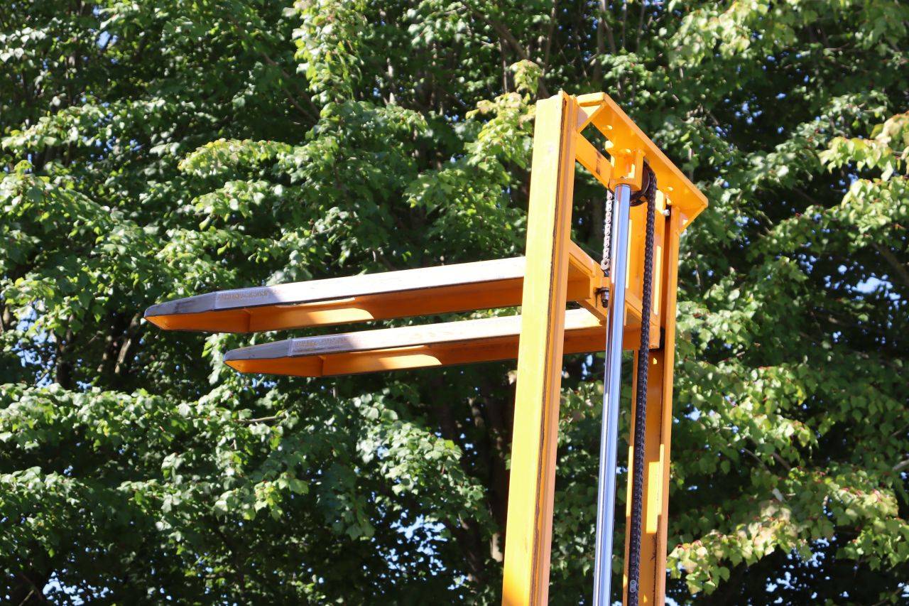 image of the lot