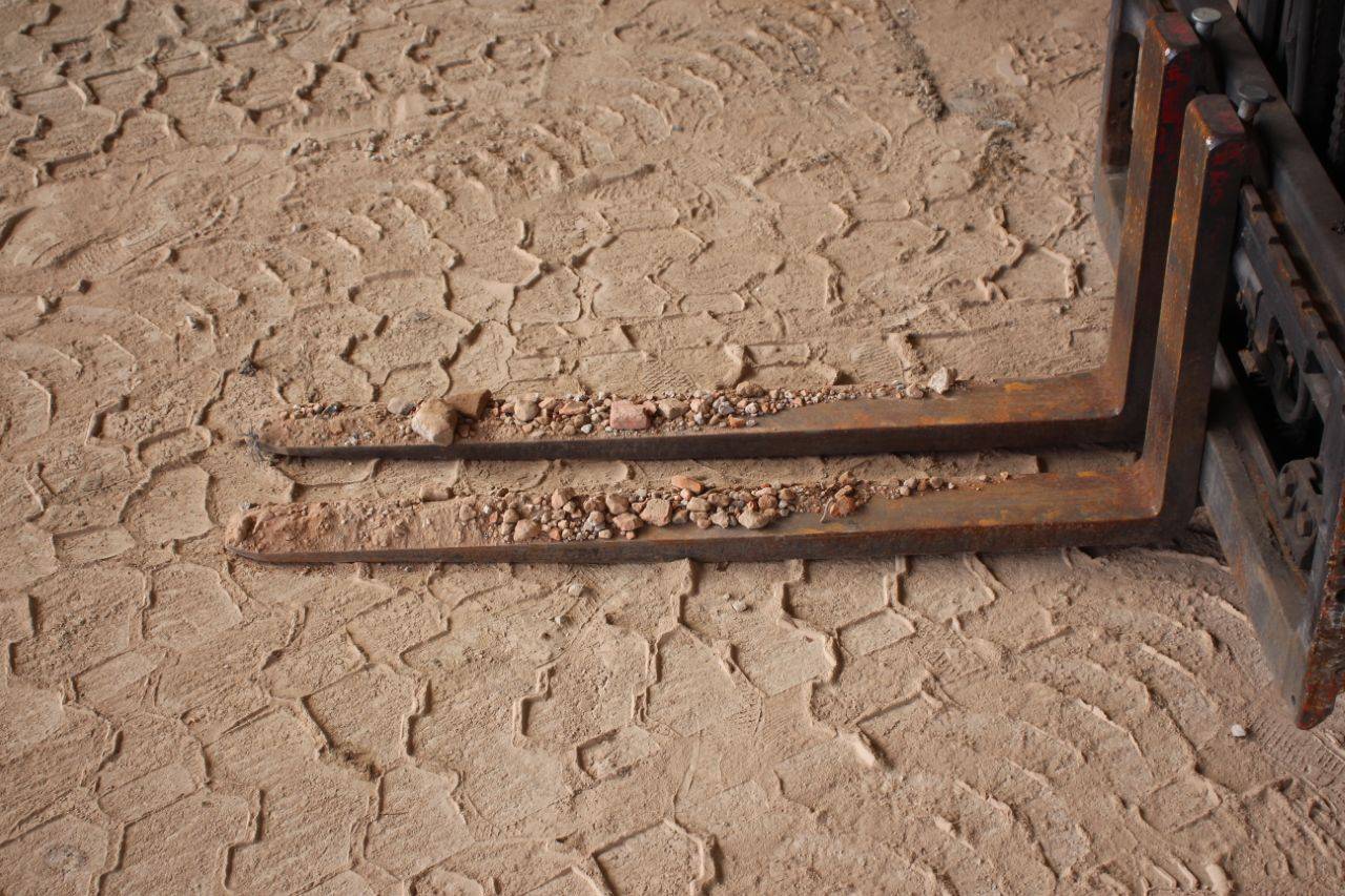 image of the lot