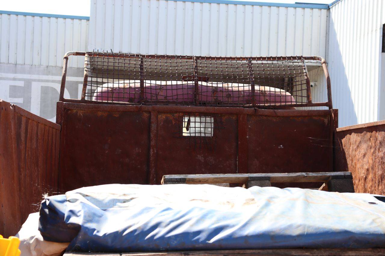 image of the lot