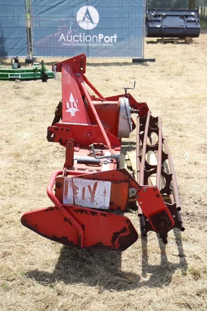 image of the lot